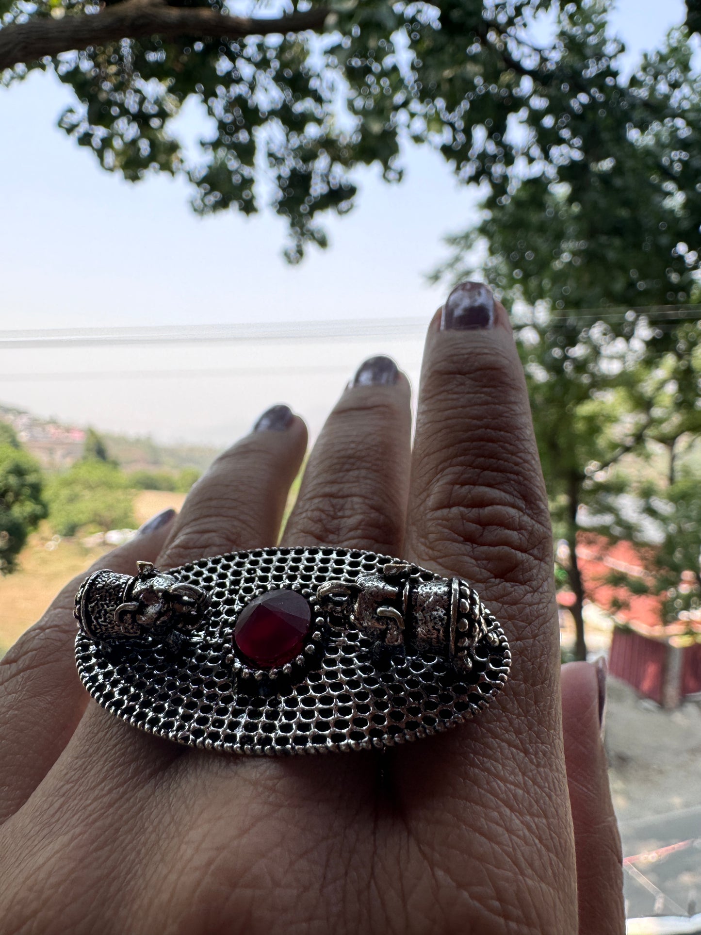 Salvanity German Silver Royal Double Elephant Welcome Finger ring