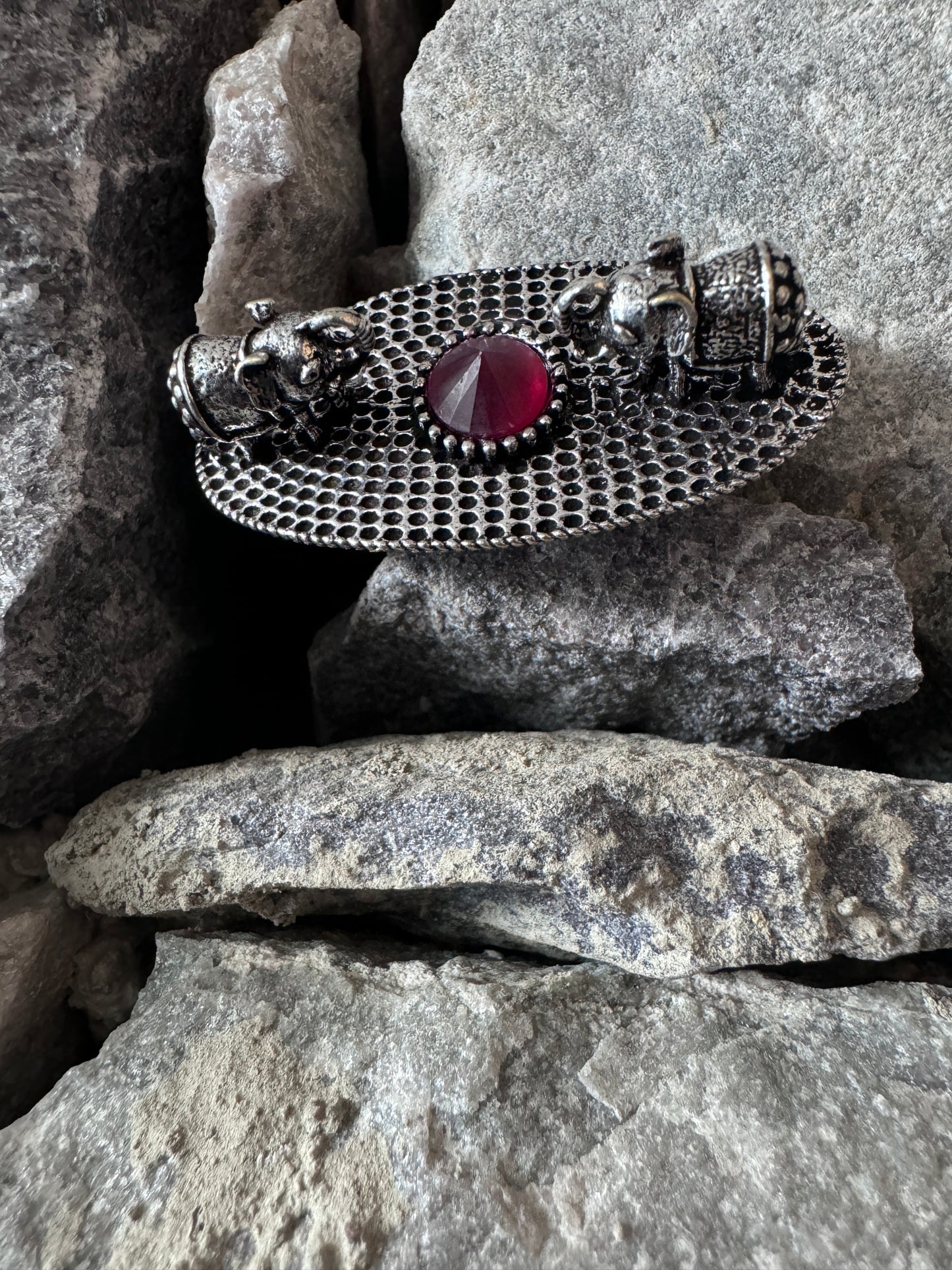 Salvanity German Silver Royal Double Elephant Welcome Finger ring