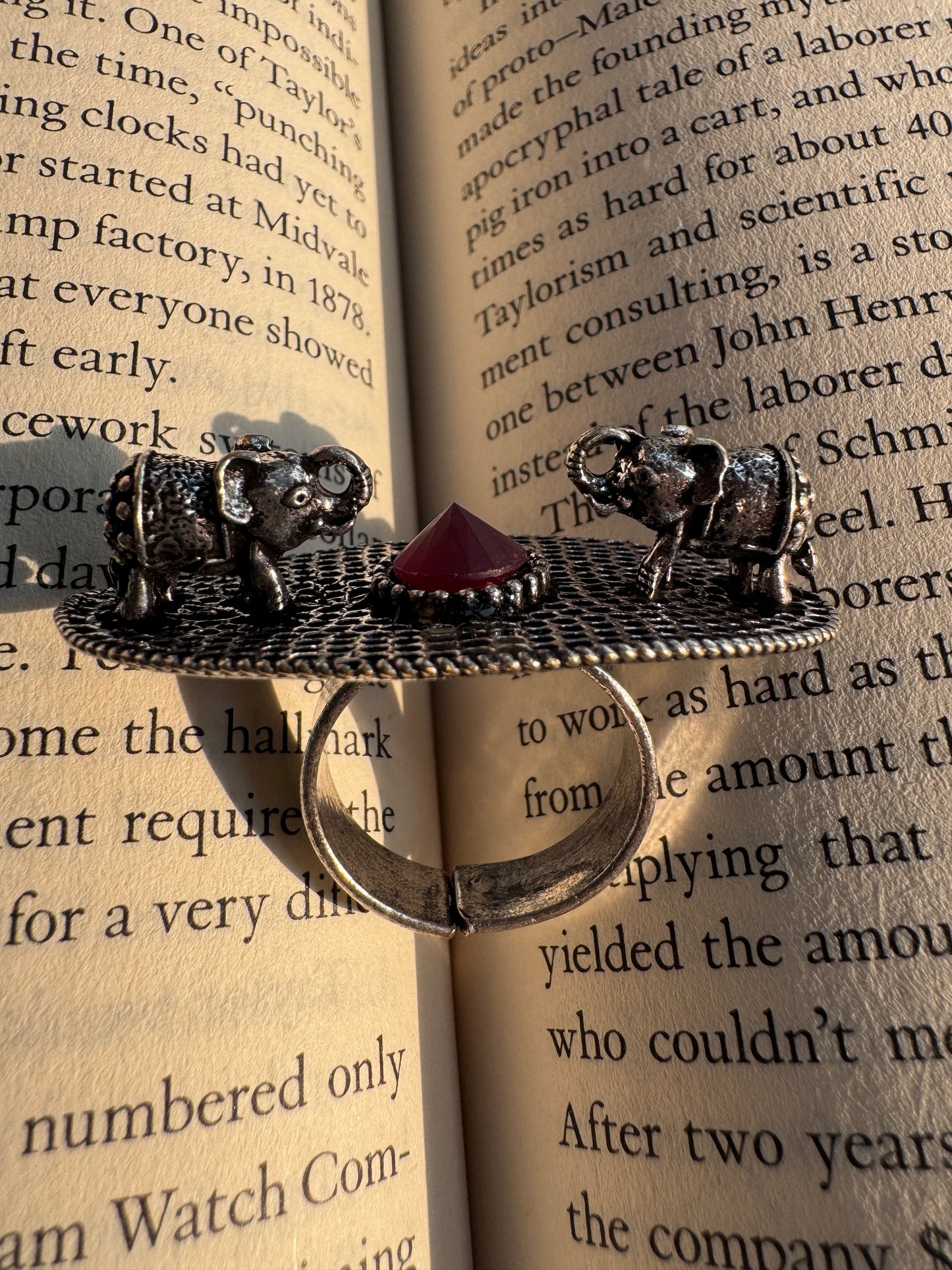 Salvanity German Silver Royal Double Elephant Welcome Finger ring